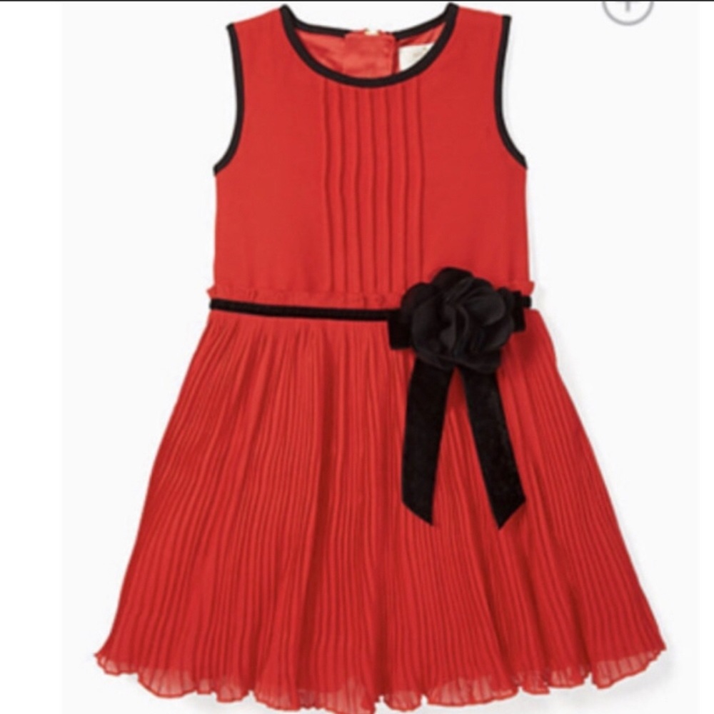 Kate Spade Pleated Chiffon Dress, Size 4T - Picture 11 of 15